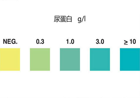 尿蛋白试纸的用法图解