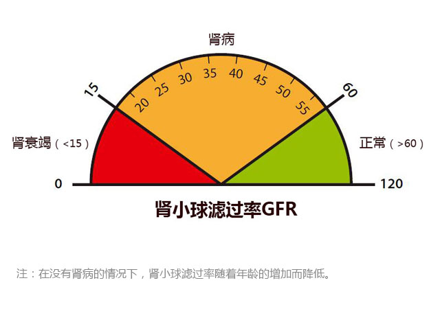 肾小球滤过率严重程度图